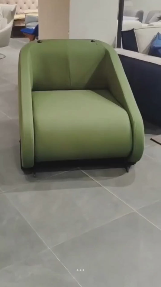Sleeper Chair or Sofa Seat Comebed